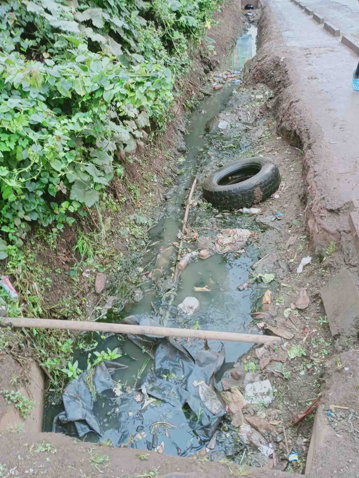 Sustainable Approach to Water Utilization through Sewage Treatment in