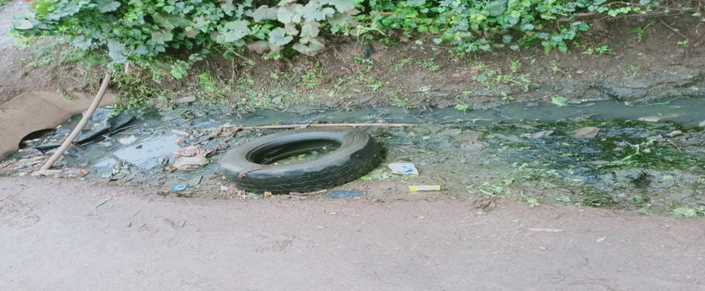 what happens to sewage water after treatment