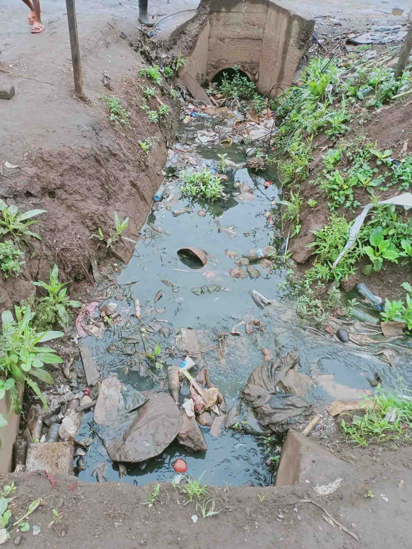 Sustainable Approach to Water Utilization through Sewage Treatment in