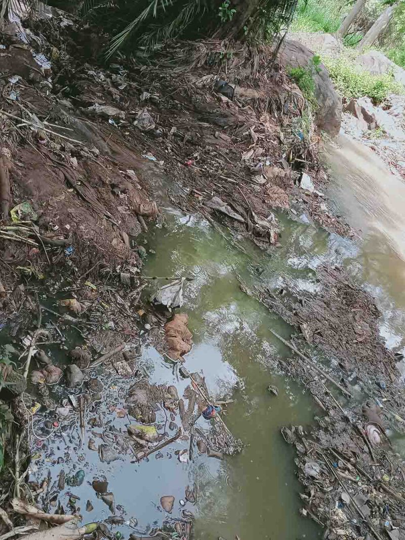 Sustainable Approach to Water Utilization through Sewage Treatment in