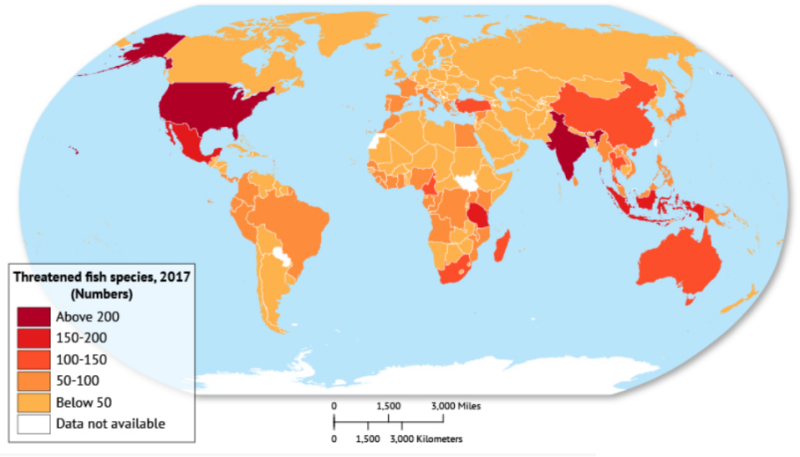 Overfishing: A Current Serious Environmental Problem - Global Waste ...