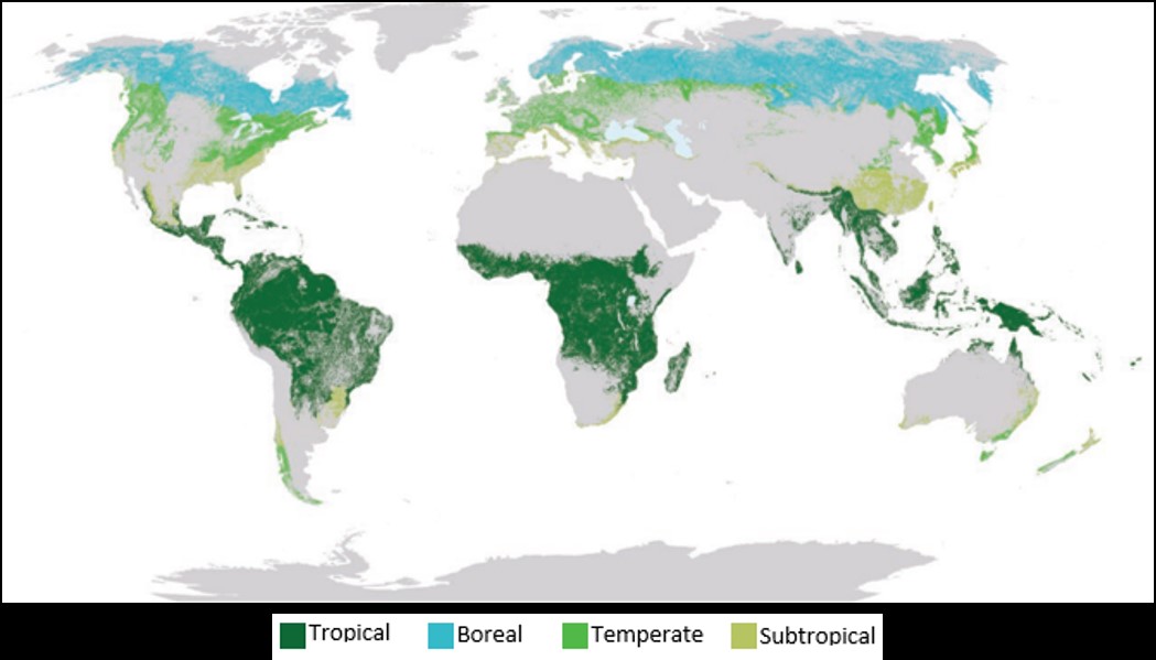 Impact of Forest Ecosystems and Deforestation on the Climate - Global ...